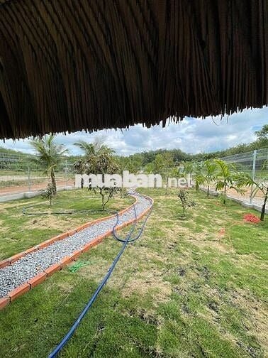 BÁN GẤP 250m² ĐẤT NỀN MẶT TIỀN LỚN LIỀN KỀ KCN DẦU TIẾNG