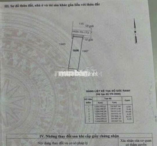 🆘 ĐẤT 6 x 21m ĐƯỜNG TÂN HIỆP 8-1, GẦN UBX TÂN HIỆP HÓC MÔN