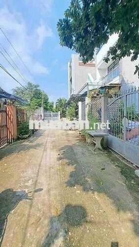 🆘 ĐẤT 6 x 21m ĐƯỜNG TÂN HIỆP 8-1, GẦN UBX TÂN HIỆP HÓC MÔN