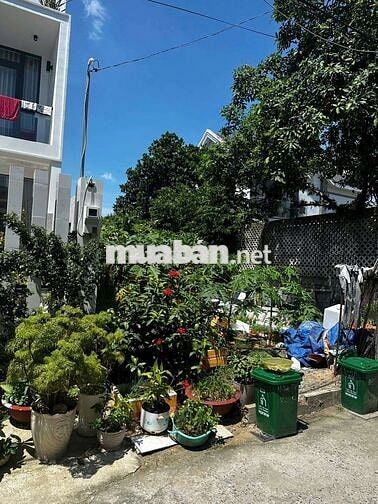 🆘 ĐẤT 6 x 21m ĐƯỜNG TÂN HIỆP 8-1, GẦN UBX TÂN HIỆP HÓC MÔN