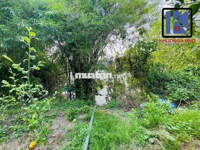 MẶT TIỀN SÔNG ĐỒNG NAI 580m2 có 300m THỔ CƯ NGANG 14m GIÁ 2 tỷ 850