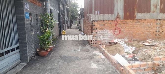 2 LÔ SỔ MỚI 4,6X12 VÀ LÔ 70M2. ĐƯỜNG 38 SỔ MỚI ĐƯỜNG NHỰA