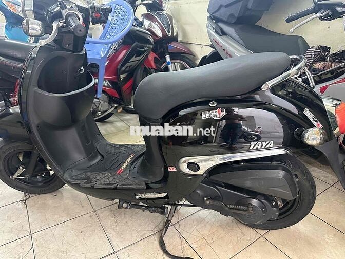 Taya smile 50cc 2019 Máy ngon .BSTP Cavet đầy đủ