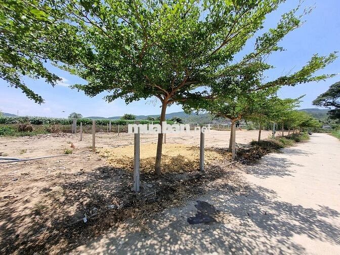 Đất bán giá Ngộp - phù hợp cất nhà đường Thống Nhất giáp trung tâm