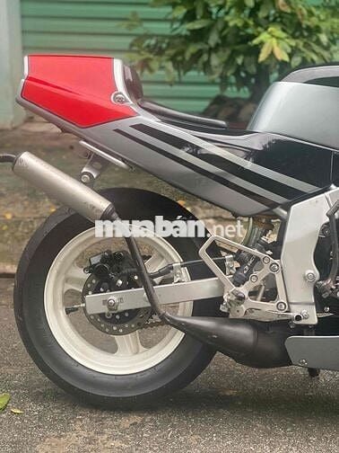 Nsr 50cc Cọp