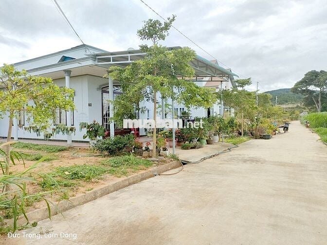 Đất bán giá Ngộp - phù hợp cất nhà đường Thống Nhất giáp trung tâm