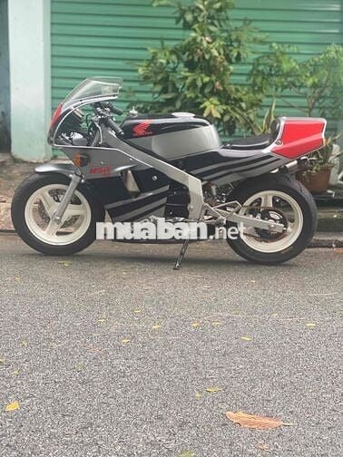 Nsr 50cc Cọp