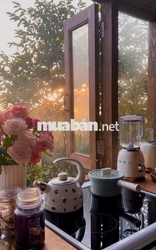 BÁN GẤP LÔ VƯỜN 1.100m² ĐỂ CHỦ LẤY VỐN KINH DOANH CHỈ 860 TRIỆU/SÀO