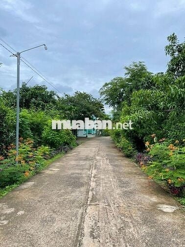 Bán Gấp Lô Đất Vườn Trái Cây Chính Chủ Tại Đồng Nai