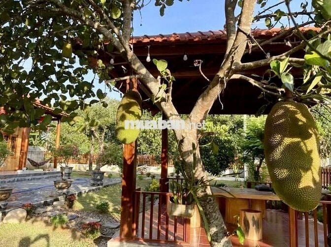 🏡 Chỉ 500 Triệu – Sở Hữu Ngay Căn Nhà Vườn Xinh Xắn Tại Đồng Nai 🌿