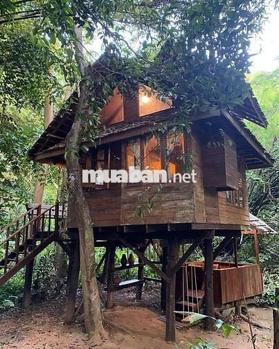 BÁN GẤP LÔ VƯỜN 1.100m² ĐỂ CHỦ LẤY VỐN KINH DOANH CHỈ 860 TRIỆU/SÀO