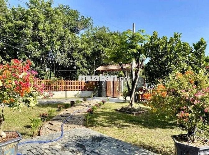 🏡 Chỉ 500 Triệu – Sở Hữu Ngay Căn Nhà Vườn Xinh Xắn Tại Đồng Nai 🌿