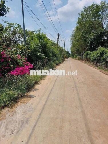 BÁN GẤP LÔ VƯỜN 1.100m² ĐỂ CHỦ LẤY VỐN KINH DOANH CHỈ 860 TRIỆU/SÀO