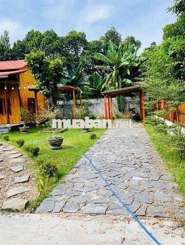 🏡 Chỉ 500 Triệu – Sở Hữu Ngay Căn Nhà Vườn Xinh Xắn Tại Đồng Nai 🌿