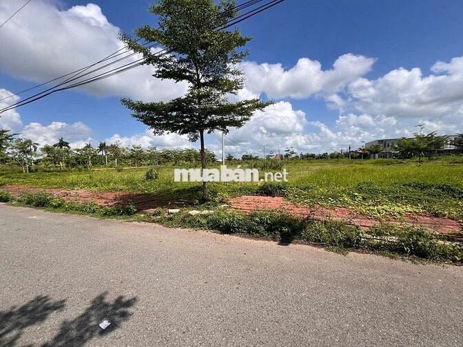Cơ Hội Hiếm: Nền Biệt Thự, Giá Không Tưởng!