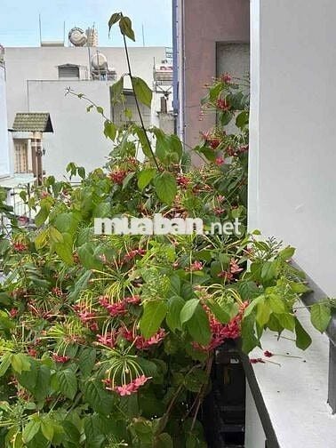 NHÀ 4 TẦNG ĐẸP — GẦN LÊ VĂN QUỚI MÃ LÒ(4m x 11m) Hướng Chính Tây