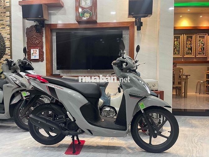 ViSiON PBCC xám xi măng ĐKT 6-2025 SD 1463km 99,9%