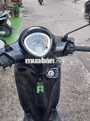 Janus fi bstp chứng giấy