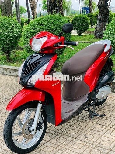 vision biển tp xe đẹp leng keng