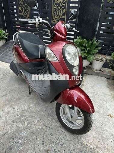 sym elite 50cc bstp ko cần bằng lái