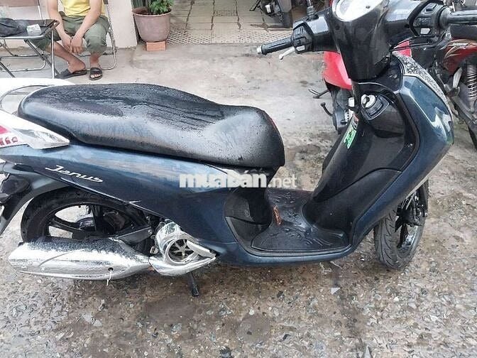 Janus fi bstp chứng giấy