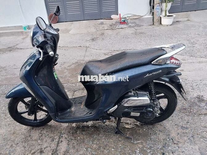Janus fi bstp chứng giấy
