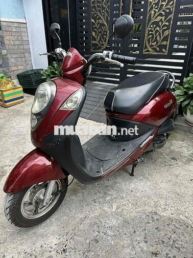 sym elite 50cc bstp ko cần bằng lái