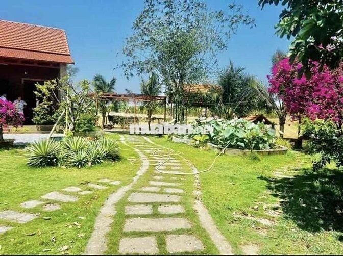 em cần bán đất vườn cho người muốn mua để ở