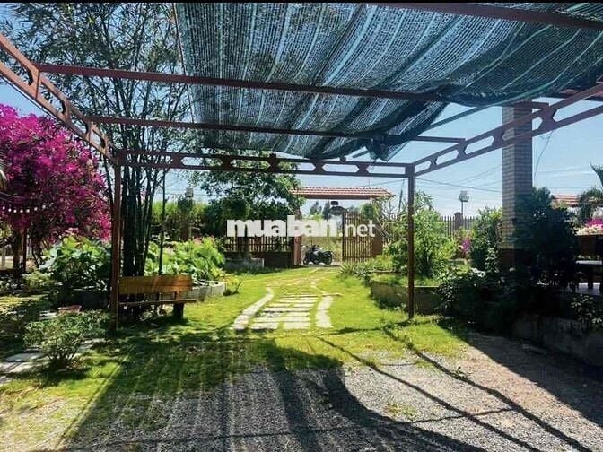 em cần bán đất vườn cho người muốn mua để ở