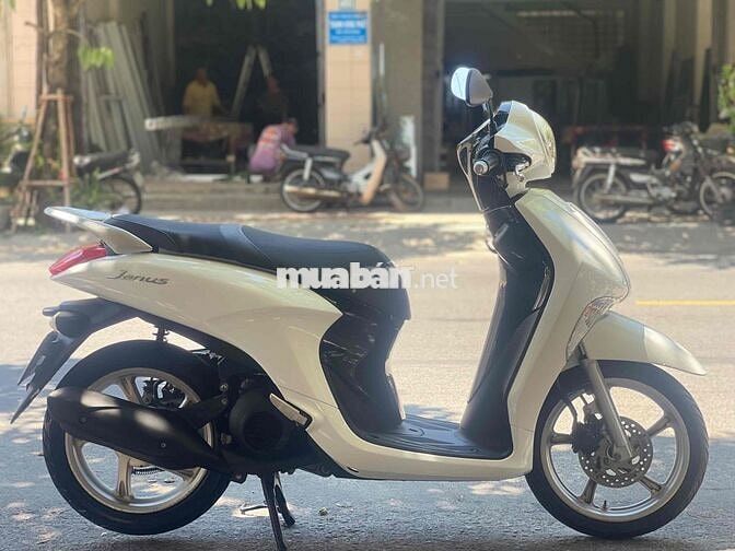 Janus 2018 Zin êm.áo đẹp keng