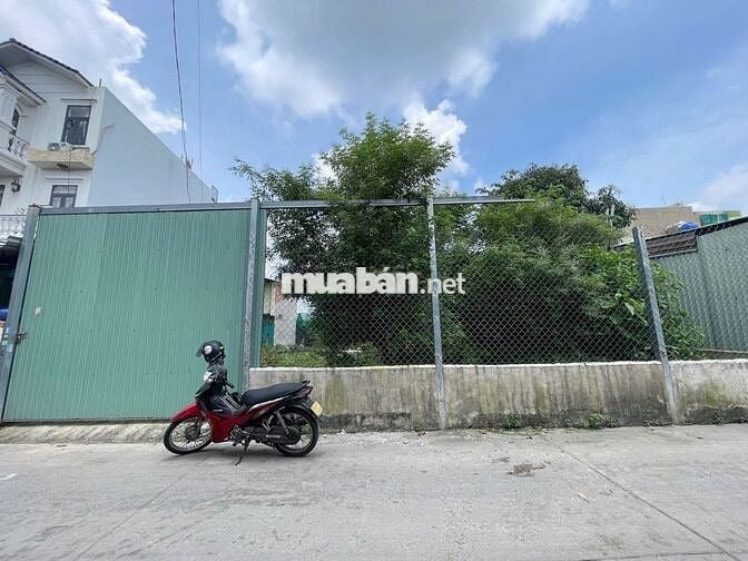 Bán đất thổ cư đường Tam Đông 22, 7.1m x 22m hậu 8.4m, 5.3 tỷ