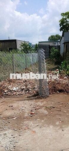 Bán đất thổ cư, diện tích 100 m2 Huyện Cần Giuộc , Long An( cũ)