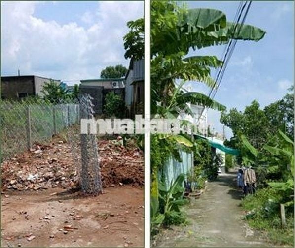 Bán đất thổ cư, diện tích 100 m2 Huyện Cần Giuộc , Long An( cũ)