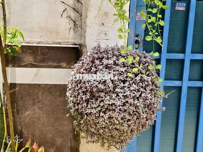 Cho thuê nhà gần chợ Nữ Dân Công