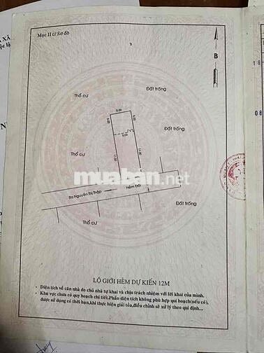 ĐẤT 3 MẶT TIỀN ĐƯỜNG NGUYỄN THỊ THẬP - GPXD 3 TẦNG + SÂN THƯỢNG