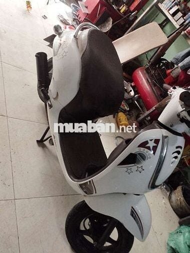 Xe ga 50 dành cho học sinh