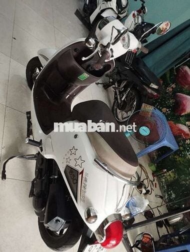 Xe ga 50 dành cho học sinh