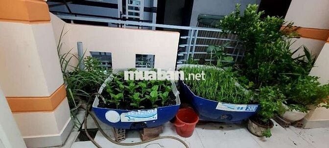 Nhà Hẻm Xe Hơi Quận 8 - 80 - SHR - HC đủ