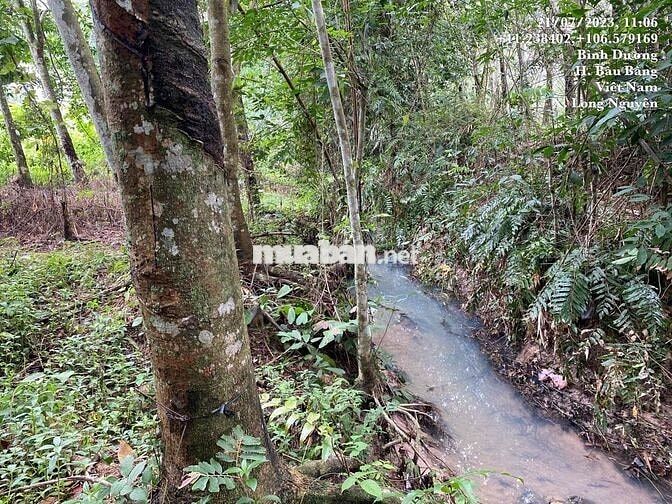 Thanh lý đất diện tích lớn giá rẻ (sẵn 1 phần thổ cư)