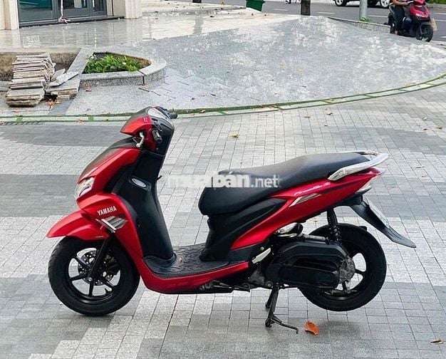 Freego 2022 chính chủ công chứng
