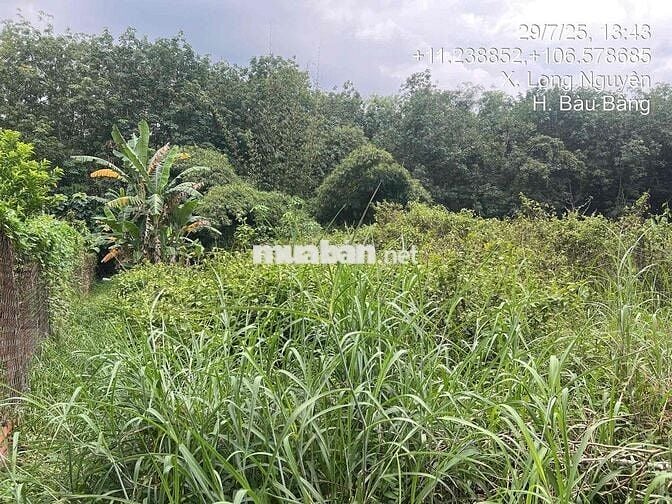 Thanh lý đất diện tích lớn giá rẻ (sẵn 1 phần thổ cư)