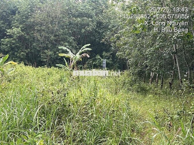 Thanh lý đất diện tích lớn giá rẻ (sẵn 1 phần thổ cư)