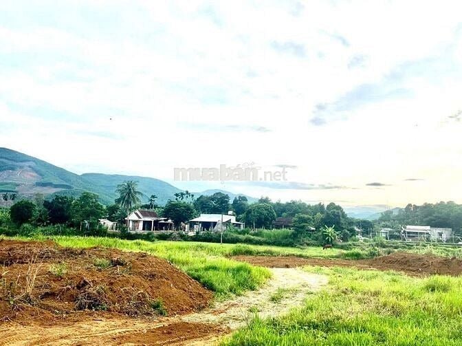 Chủ cần tiền gửi bán lô tam Lộc 
Diện tích 1700m2 thực tế hơn 2000m2