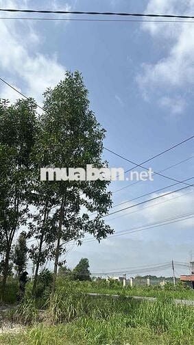 Bán đất An Phước 100m² giá 2 tỷ 2 gần sân bay Long Thành, KCN Long Đức