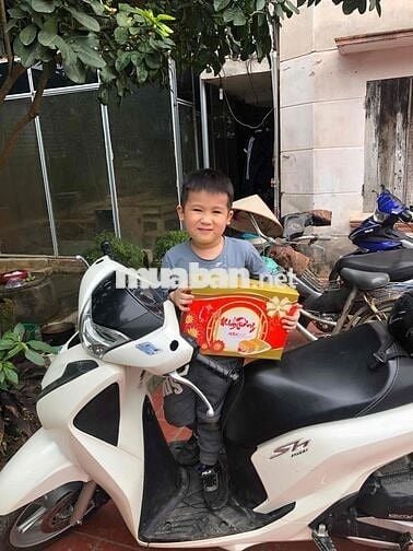 xe sh chính chủ