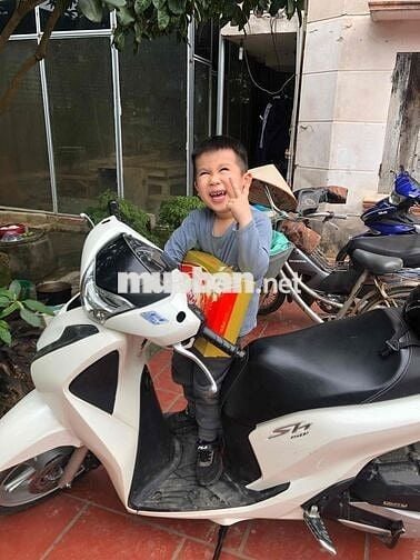 xe sh chính chủ