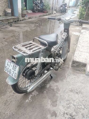 Honda Cub 50cc