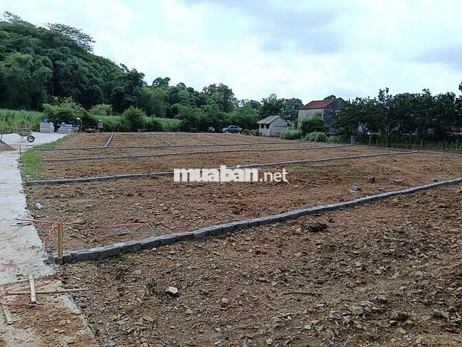 BÁN ĐẤT NỀN GIÁ RẺ - CÓ SỔ ĐỎ - THANH HÓA