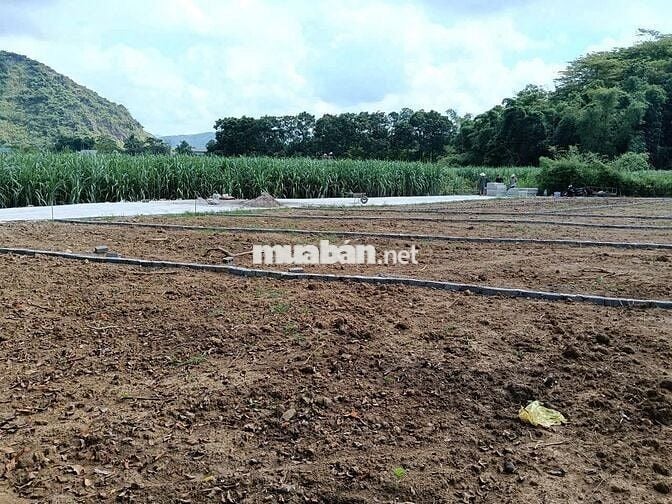 BÁN ĐẤT NỀN GIÁ RẺ - CÓ SỔ ĐỎ - THANH HÓA