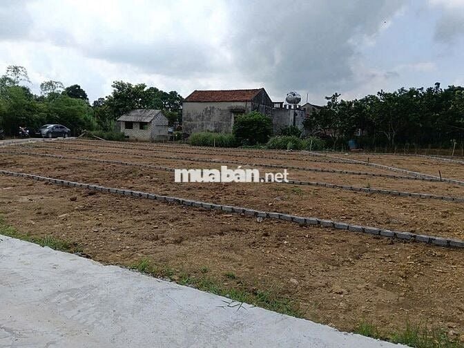 BÁN ĐẤT NỀN GIÁ RẺ - CÓ SỔ ĐỎ - THANH HÓA